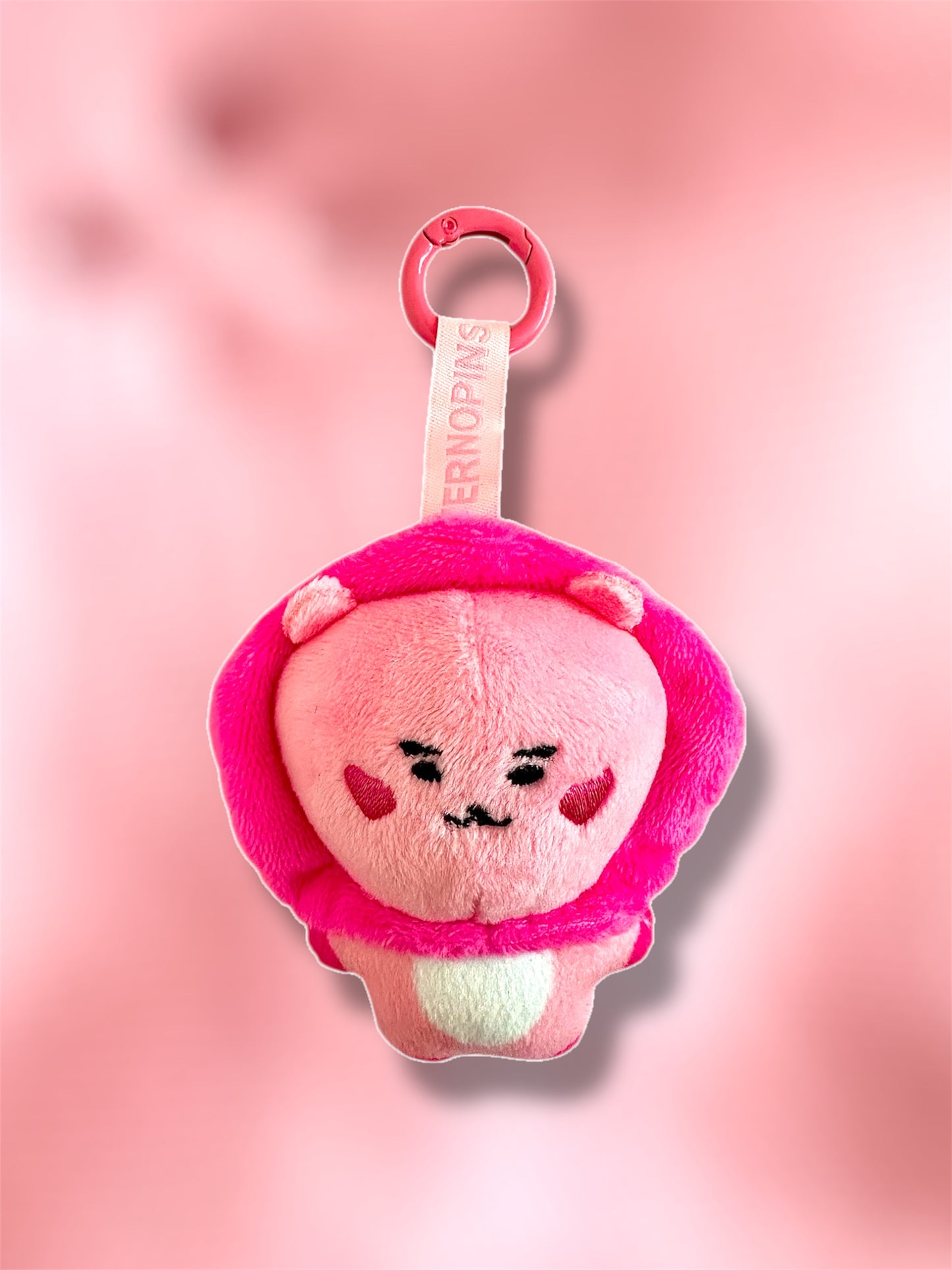 SAJA FRIENDS & DERPY PLUSH KEYCHAINS - EXTRAS